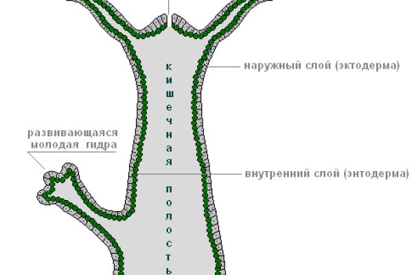 Рабочее зеркало мега