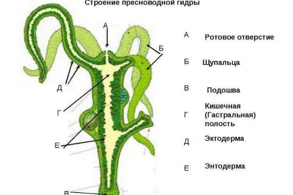 Купить наркотики в москве