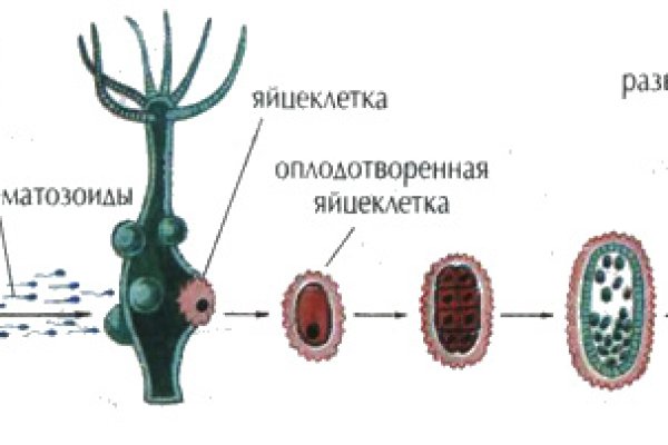 Сайт кракен оригинал